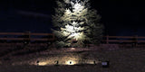 Quadruple Warm White Solar Spotlight IS-SSQ-1